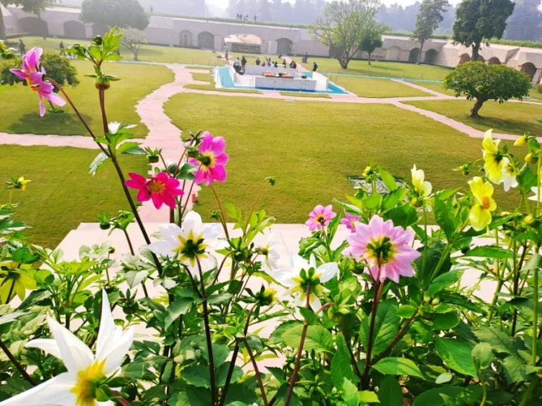 900%EF%BC%BF1737222762160.jpg?type=w773