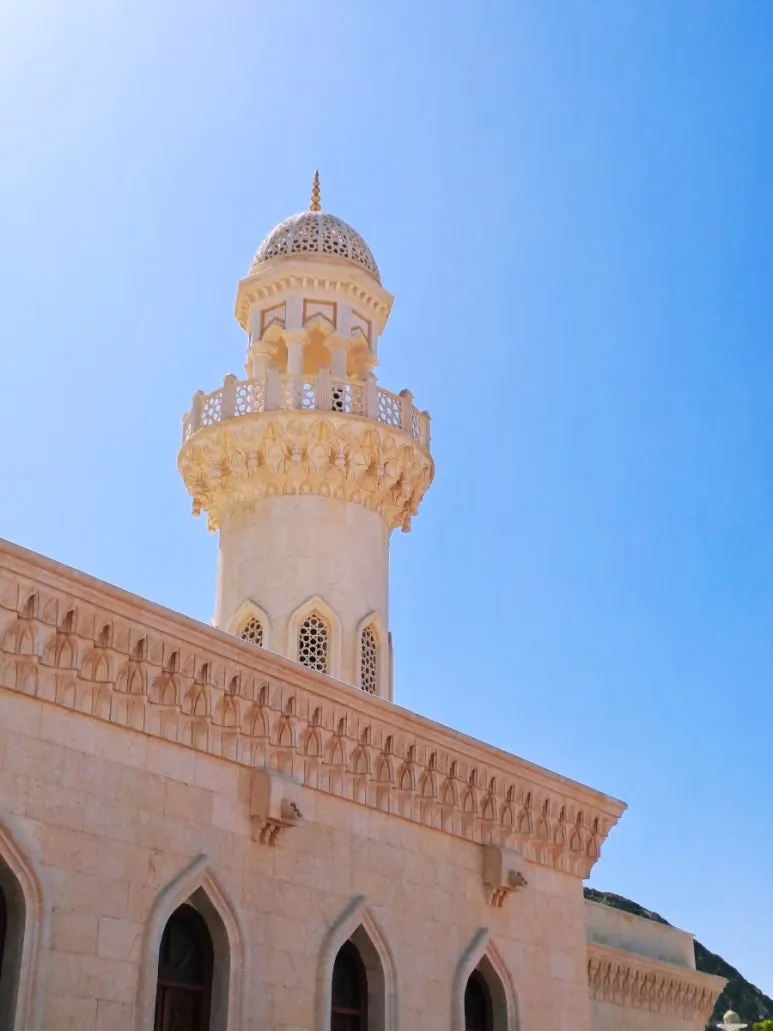 1731804912219.jpg?type=w773