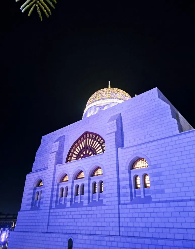 1731804921538.jpg?type=w773