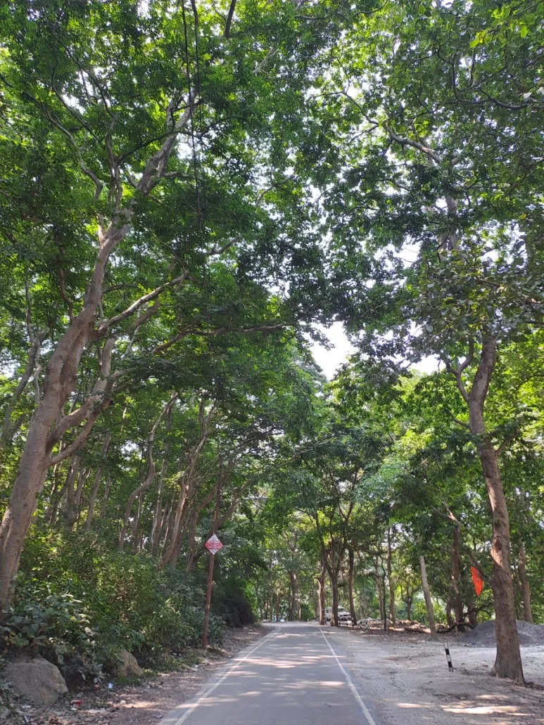 20241006%EF%BC%BF105934.jpg?type=w773