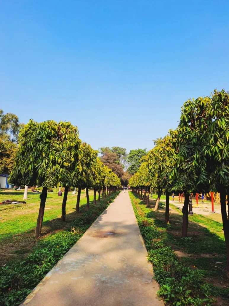 900%EF%BC%BF1737222764991.jpg?type=w773