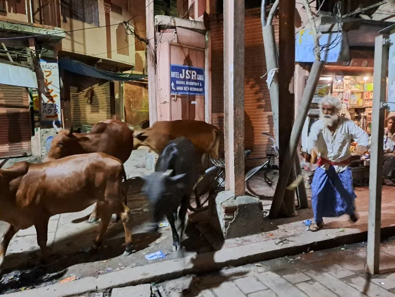 20240713_0032031.jpg?type=w773