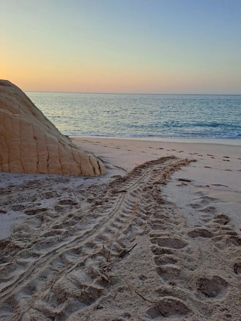 20241031%EF%BC%BF061815.jpg?type=w773