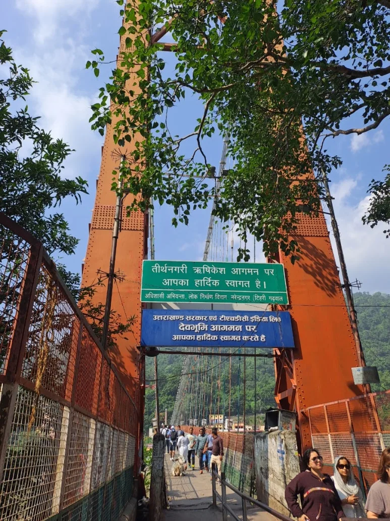 20241006%EF%BC%BF132851.jpg?type=w773