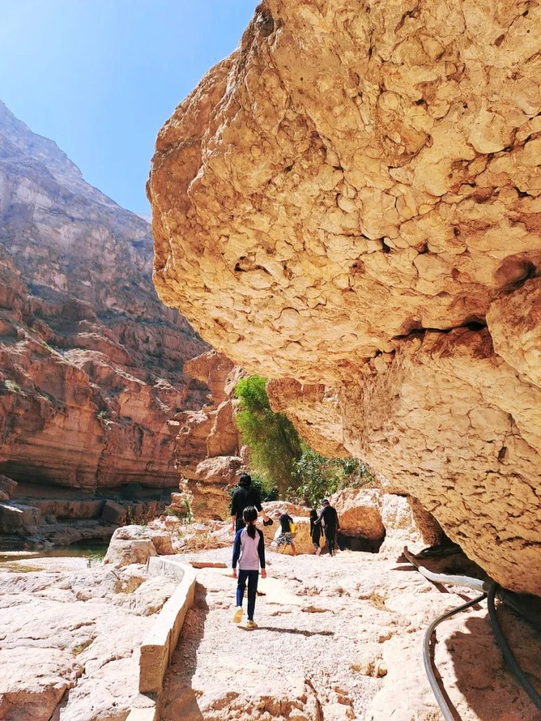 1731610629173.jpg?type=w773