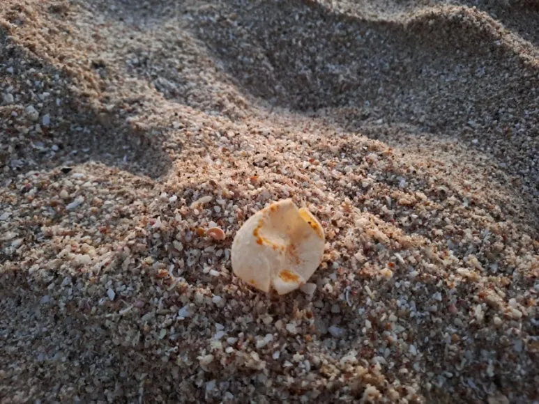 20241031%EF%BC%BF054538.jpg?type=w773