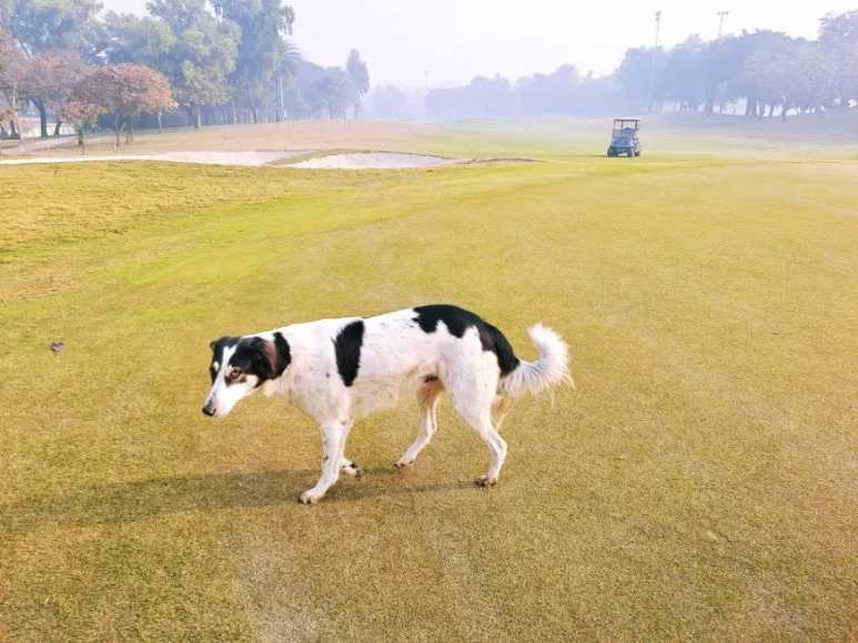 900%EF%BC%BF1737221222882.jpg?type=w773