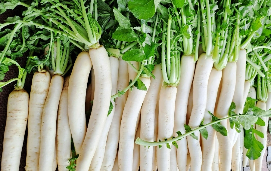 1732597133161.jpg?type=w1