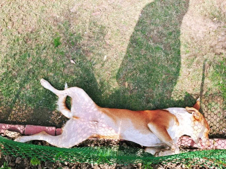 900%EF%BC%BF1737222764630.jpg?type=w773