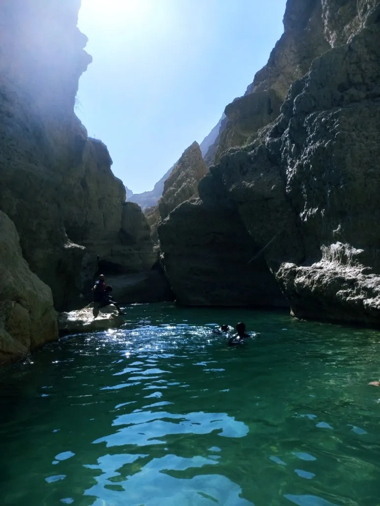 1731610631192.jpg?type=w773