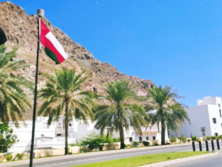 1730641138340.jpg?type=w773