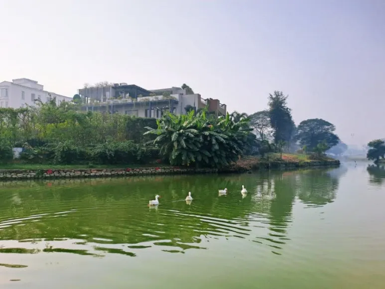 900%EF%BC%BF1737221223219.jpg?type=w773