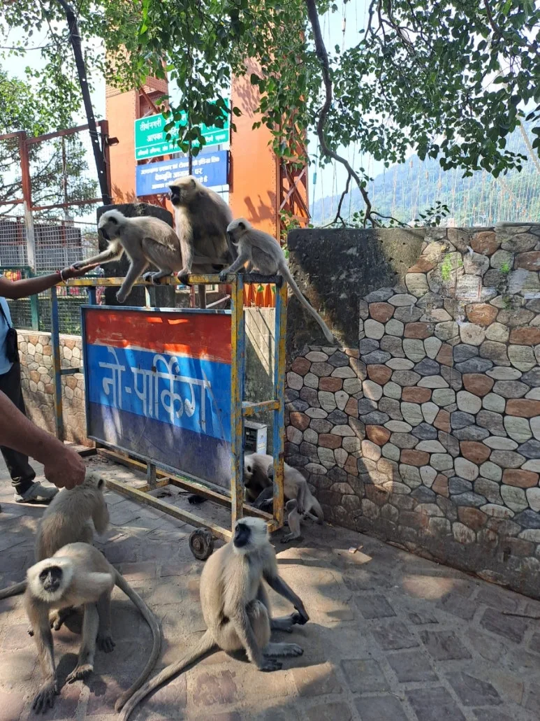 20241006%EF%BC%BF131347.jpg?type=w773