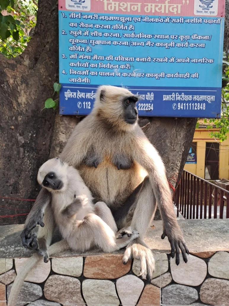 20241006%EF%BC%BF131548.jpg?type=w773