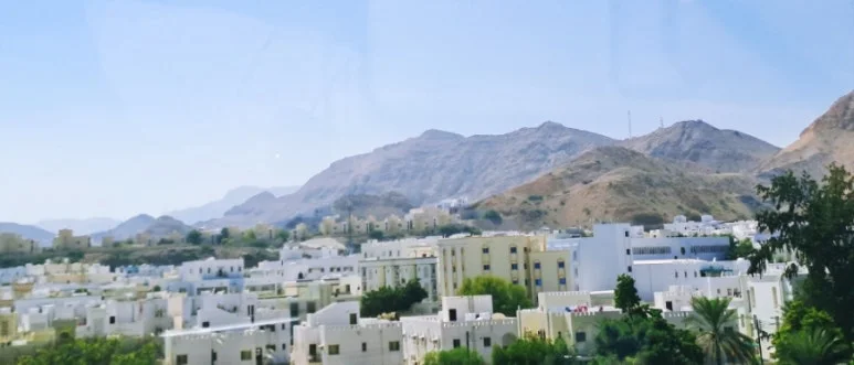 1731804907298.jpg?type=w773