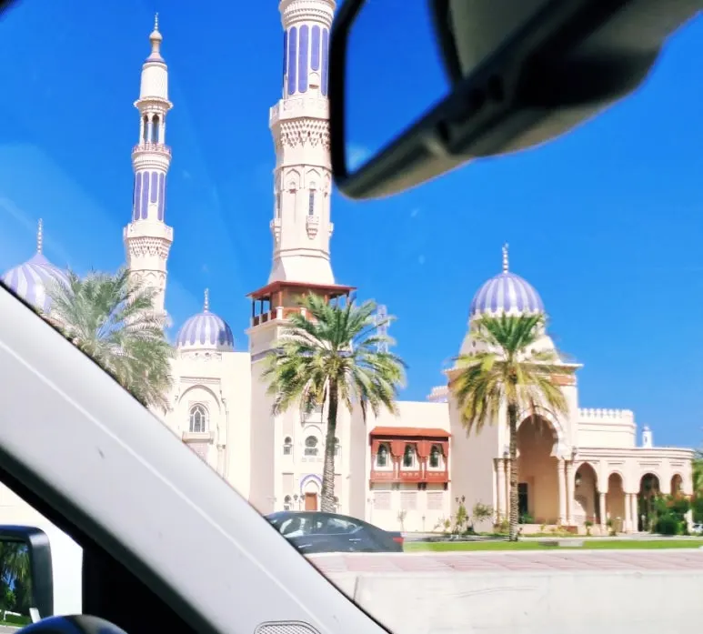 1731804906928.jpg?type=w773