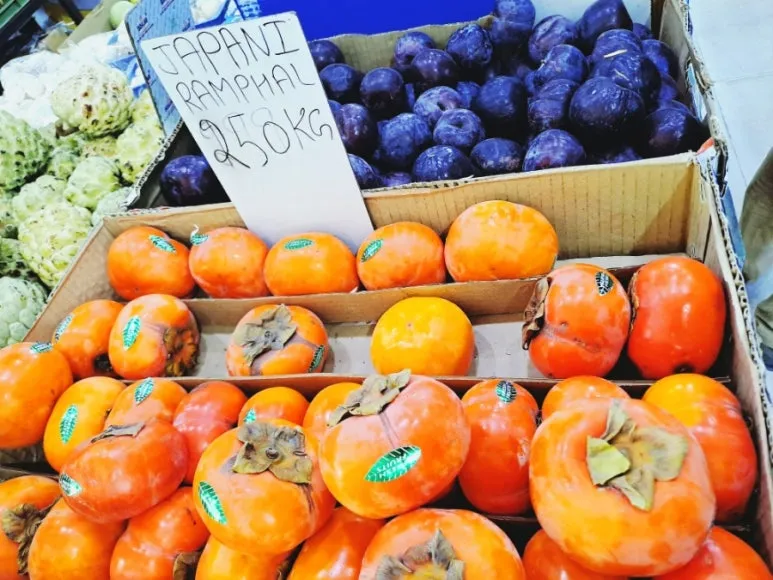 900%EF%BC%BF1737204676445.jpg?type=w773