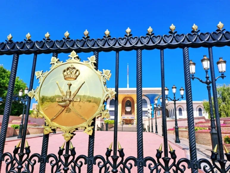 1731804911263.jpg?type=w773