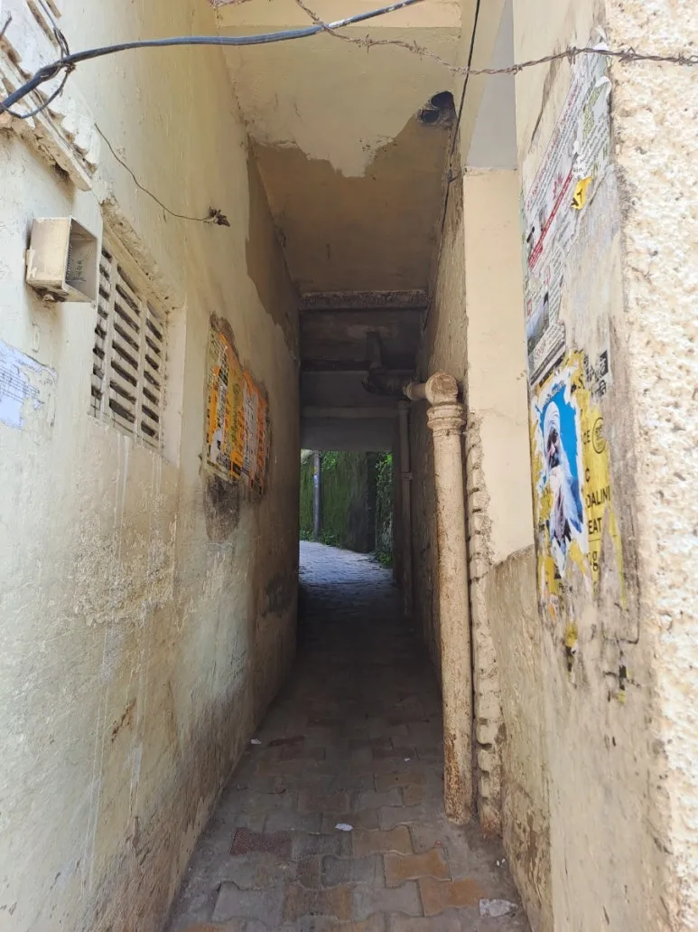 20241006%EF%BC%BF124721.jpg?type=w773