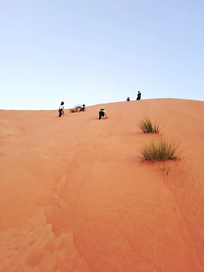 1731606472999.jpg?type=w773