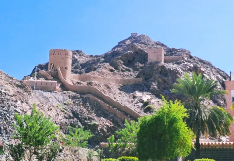 1731804910383.jpg?type=w773