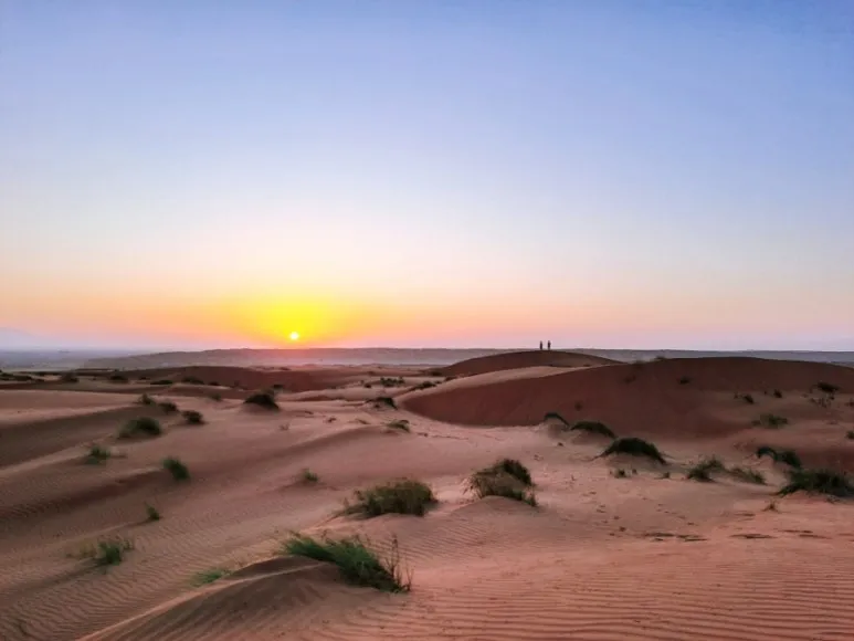 1731606477063.jpg?type=w773