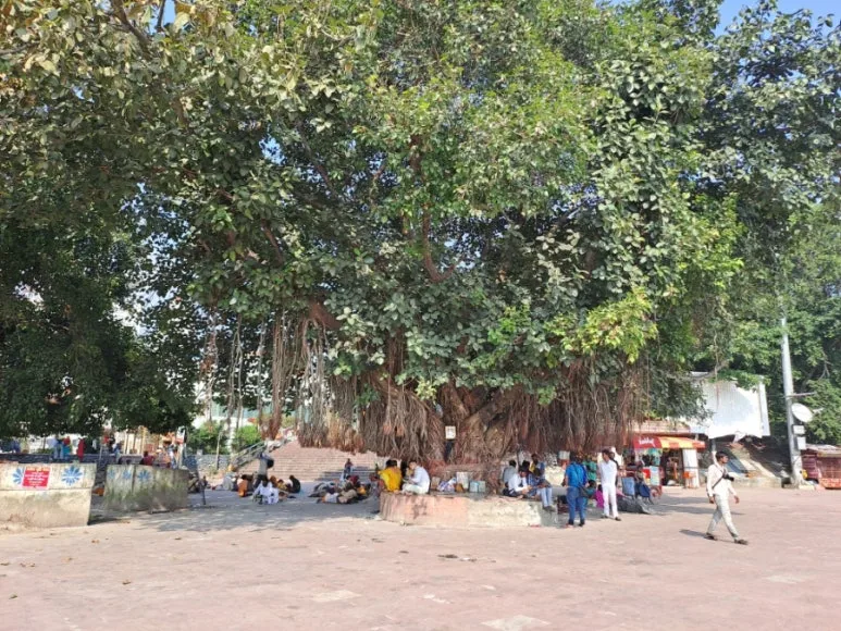 20241006%EF%BC%BF143741.jpg?type=w773