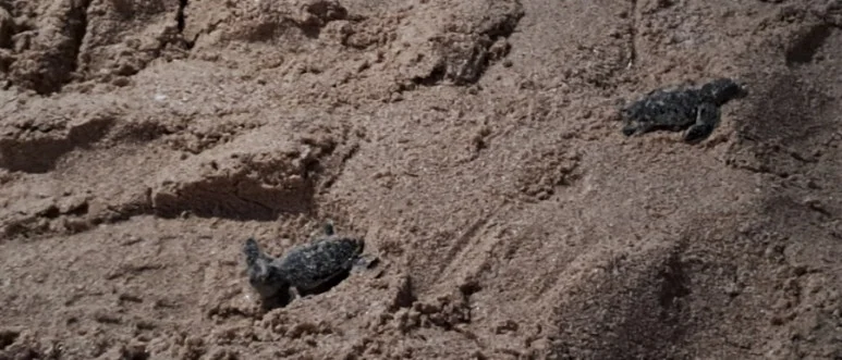 1731560224446.jpg?type=w773