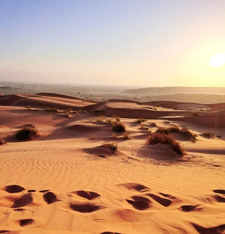 1731606477553.jpg?type=w773