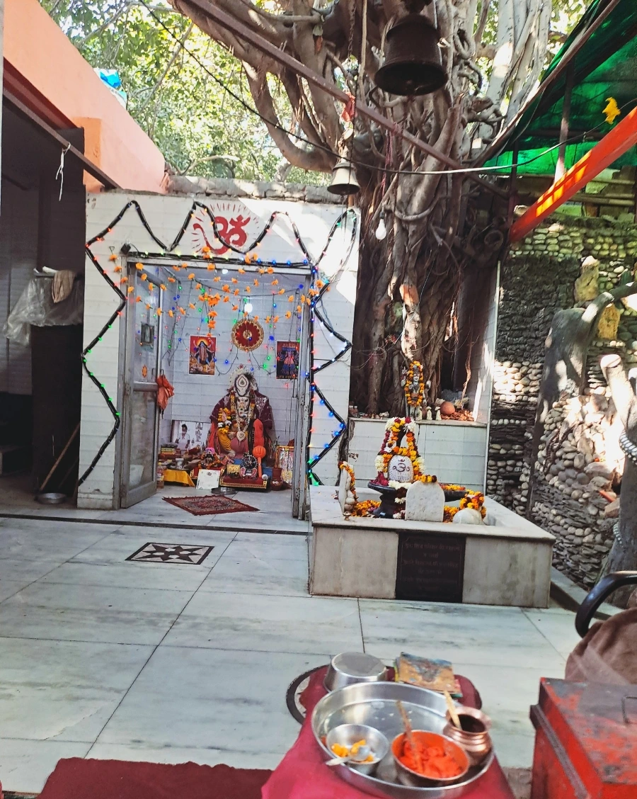 1733405157507.jpg?type=w1