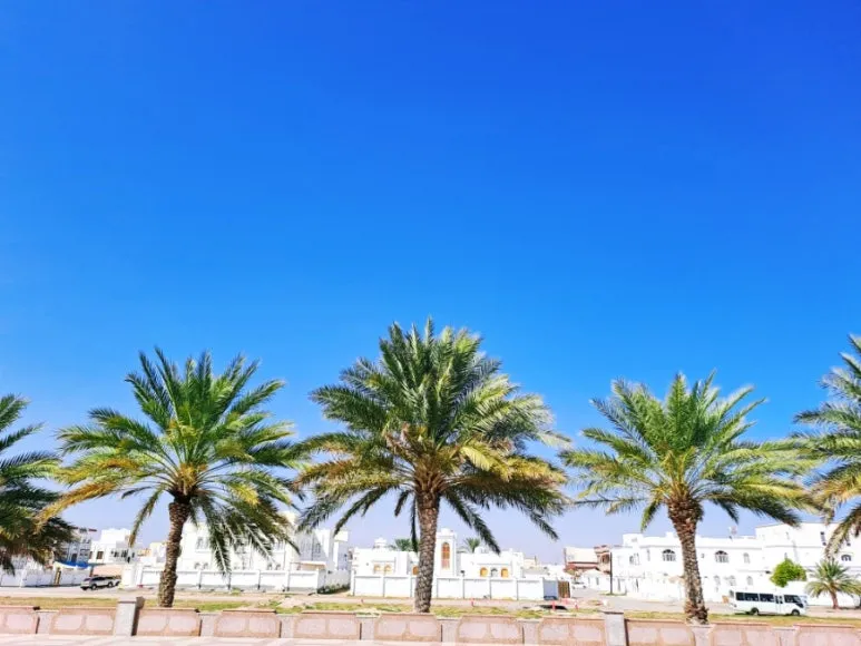 1731606470736.jpg?type=w773