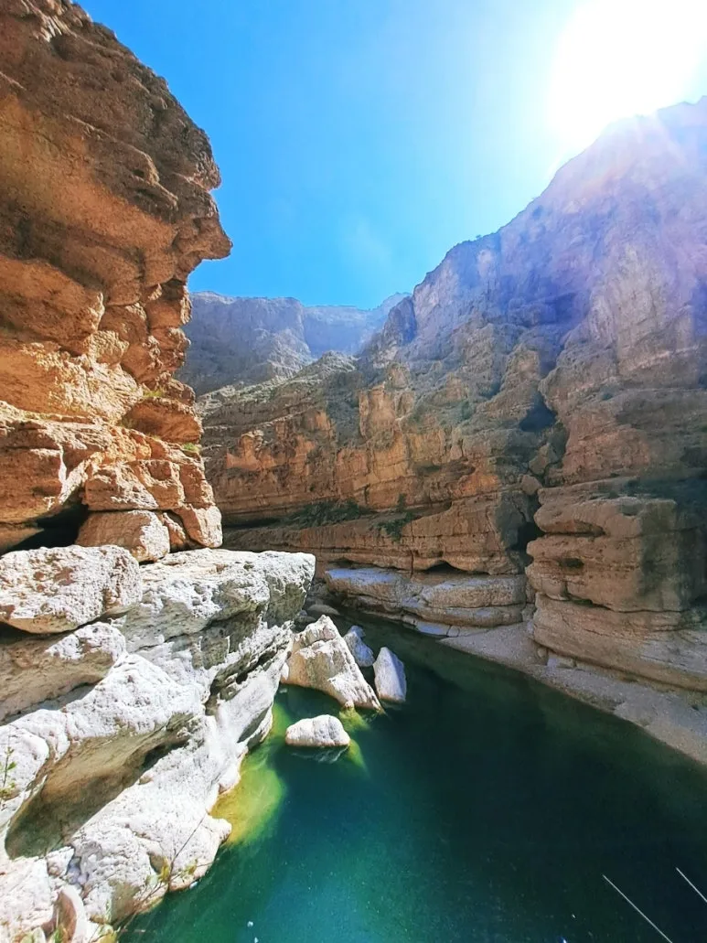 1731610629619.jpg?type=w773