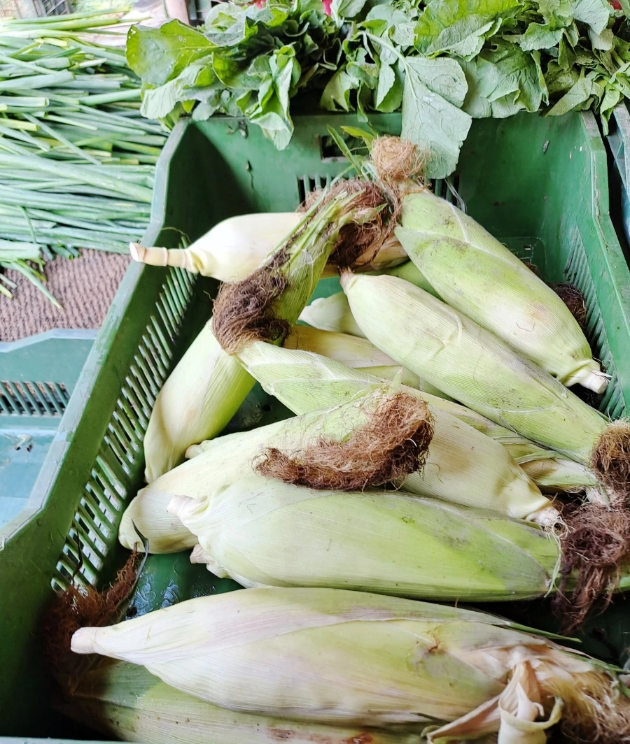 1732597133578.jpg?type=w1