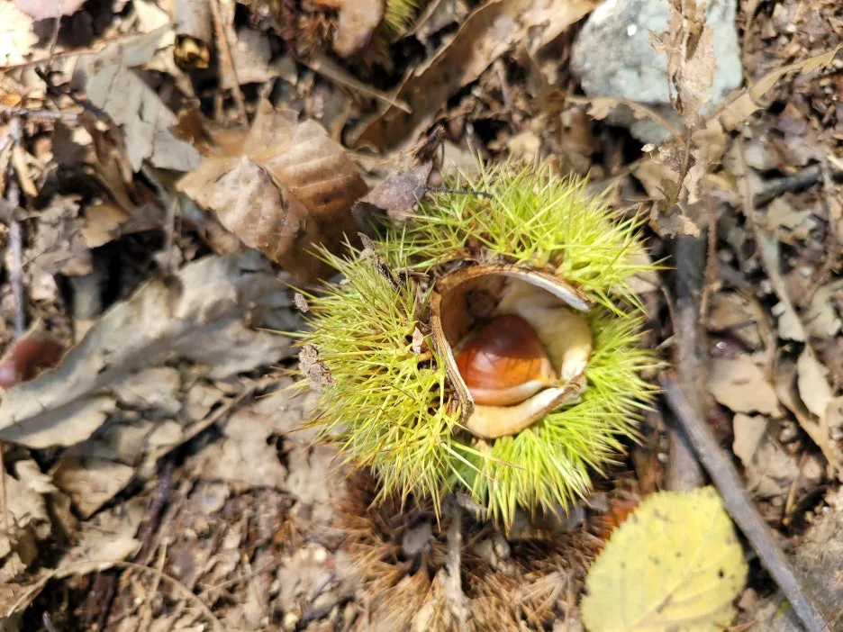 20230918_121151.jpg?type=w1