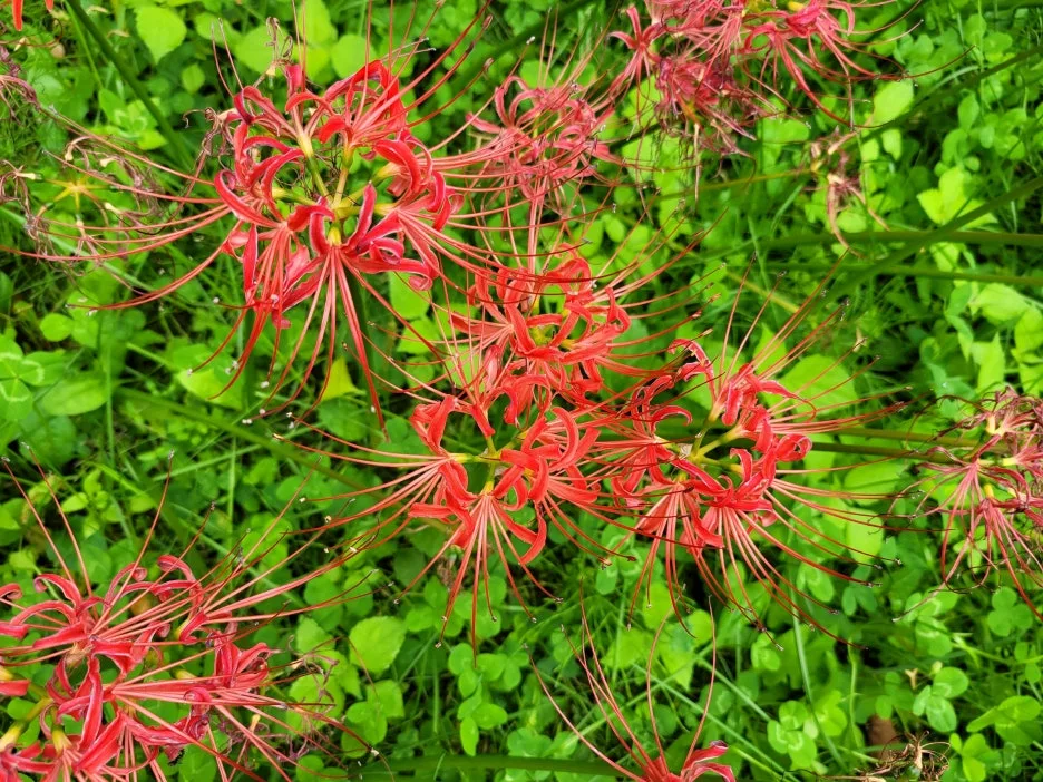 20231003_110315.jpg?type=w1