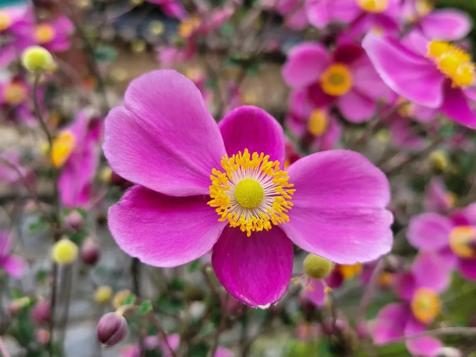 20231003_121226.jpg?type=w1