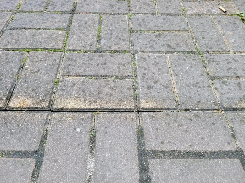 20230925_085545.jpg?type=w1