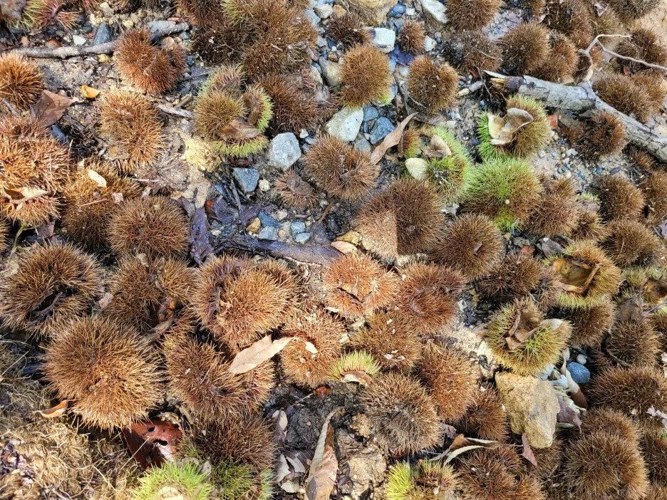 20230918_121247.jpg?type=w1