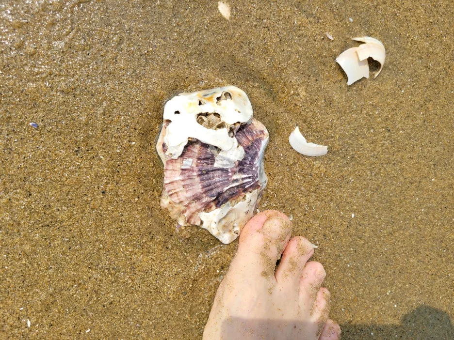 20230919_135532.jpg?type=w1