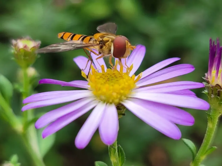 20231003_122349.jpg?type=w1