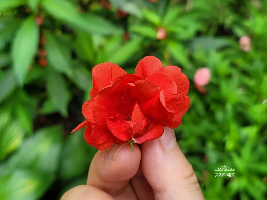 SE-d59b3845-bdb6-4c24-b486-5925a855a1aa.jpg?type=w1