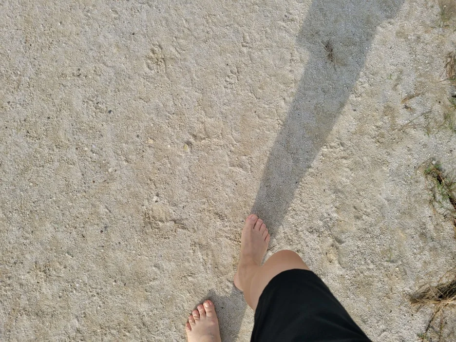 20230919_082820.jpg?type=w1