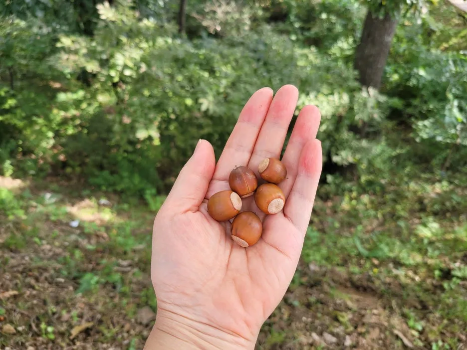 20231004_110455.jpg?type=w1