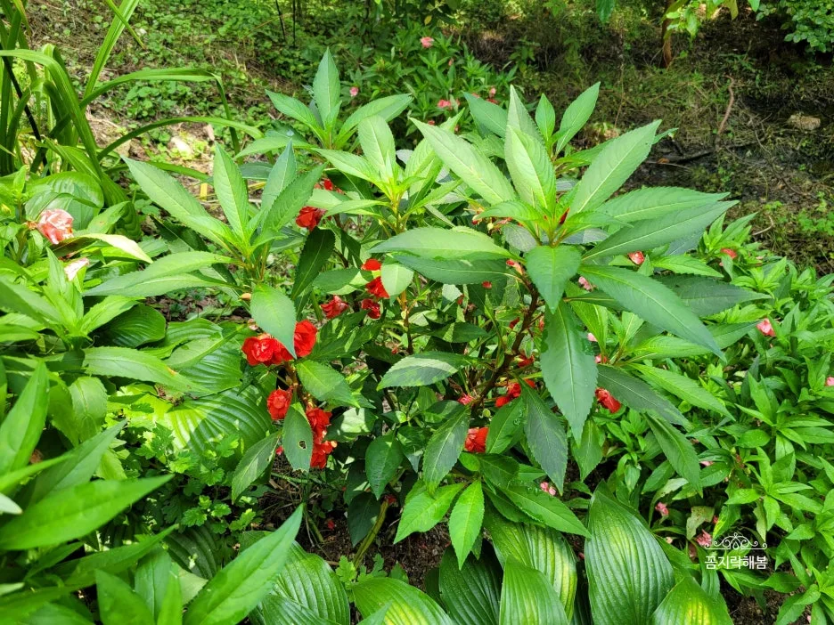 SE-fe710083-1a1d-4354-a974-54e4a4fe1f9e.jpg?type=w1