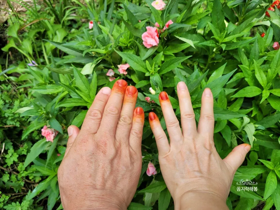 SE-474a9b86-1bb1-4d34-a162-f726c867917a.jpg?type=w1