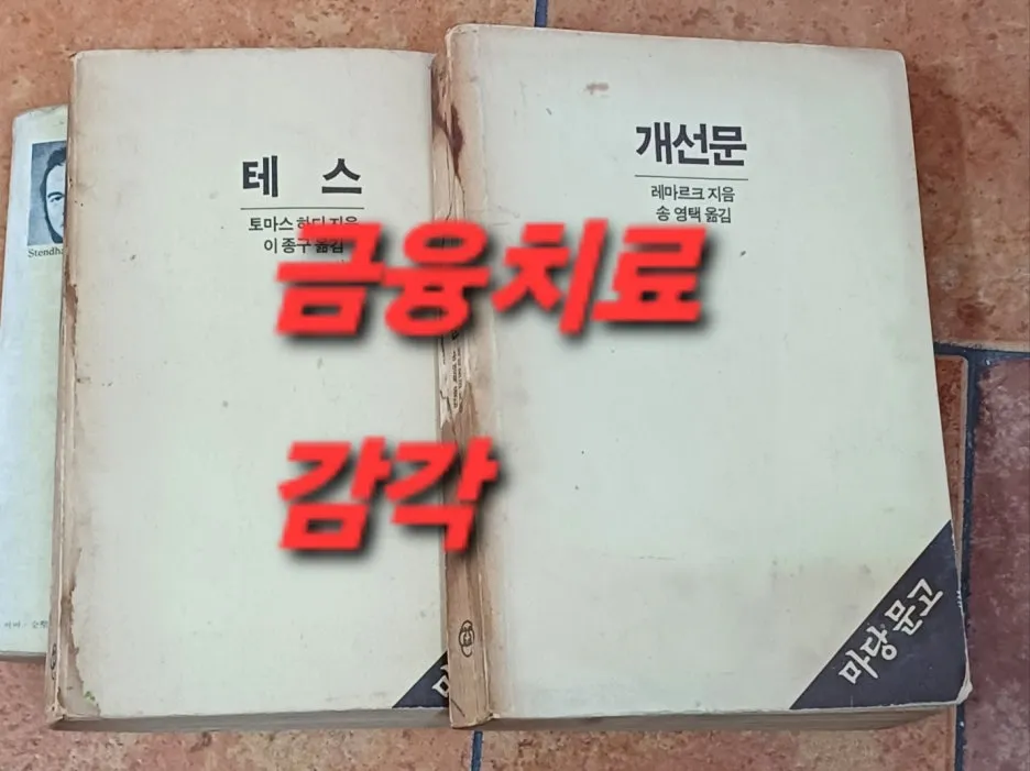 KakaoTalk_20250416_121202924.jpg?type=w1