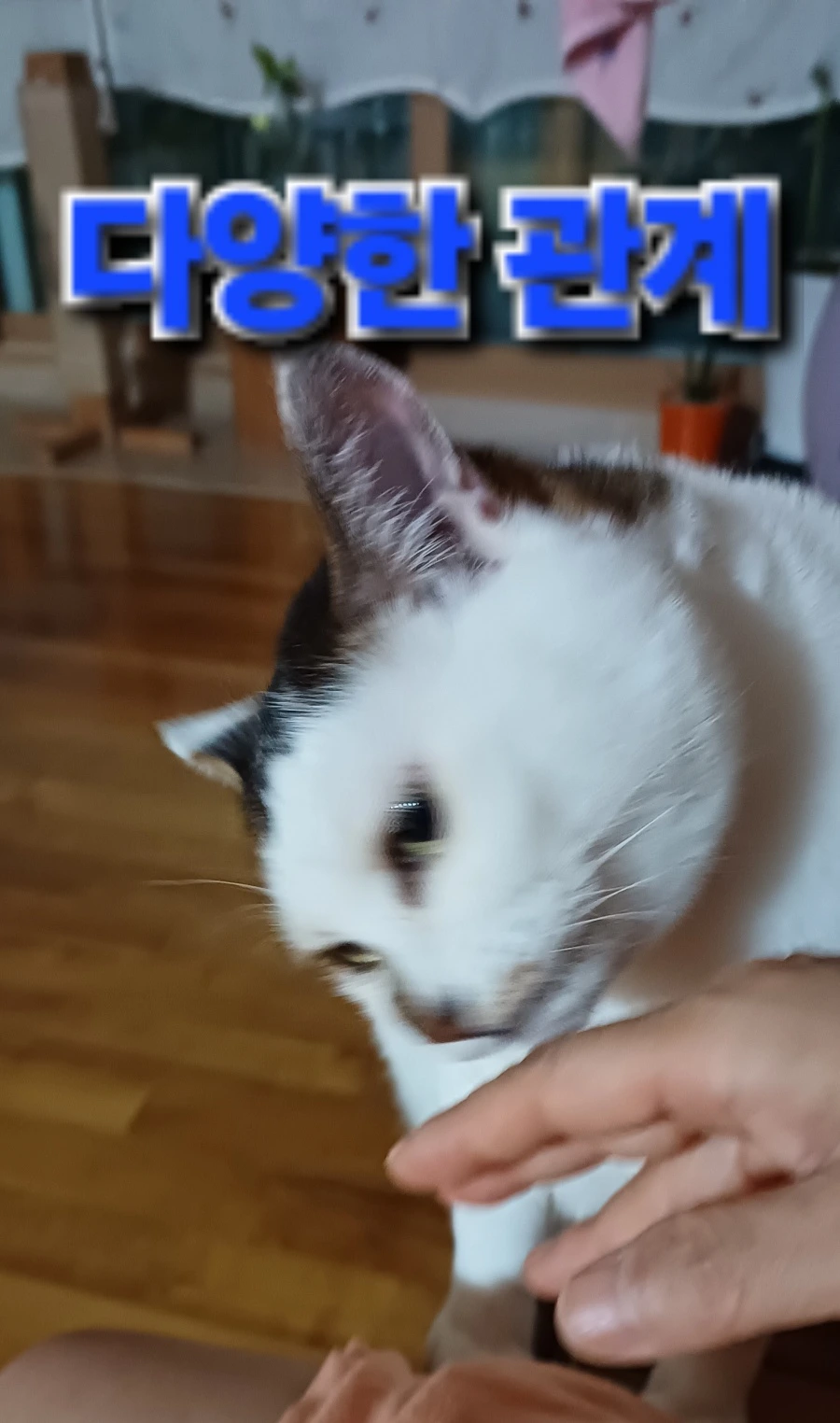 KakaoTalk_20250712_093310892.jpg?type=w1