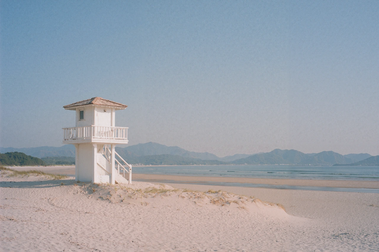 upscaled-image (21).jpeg