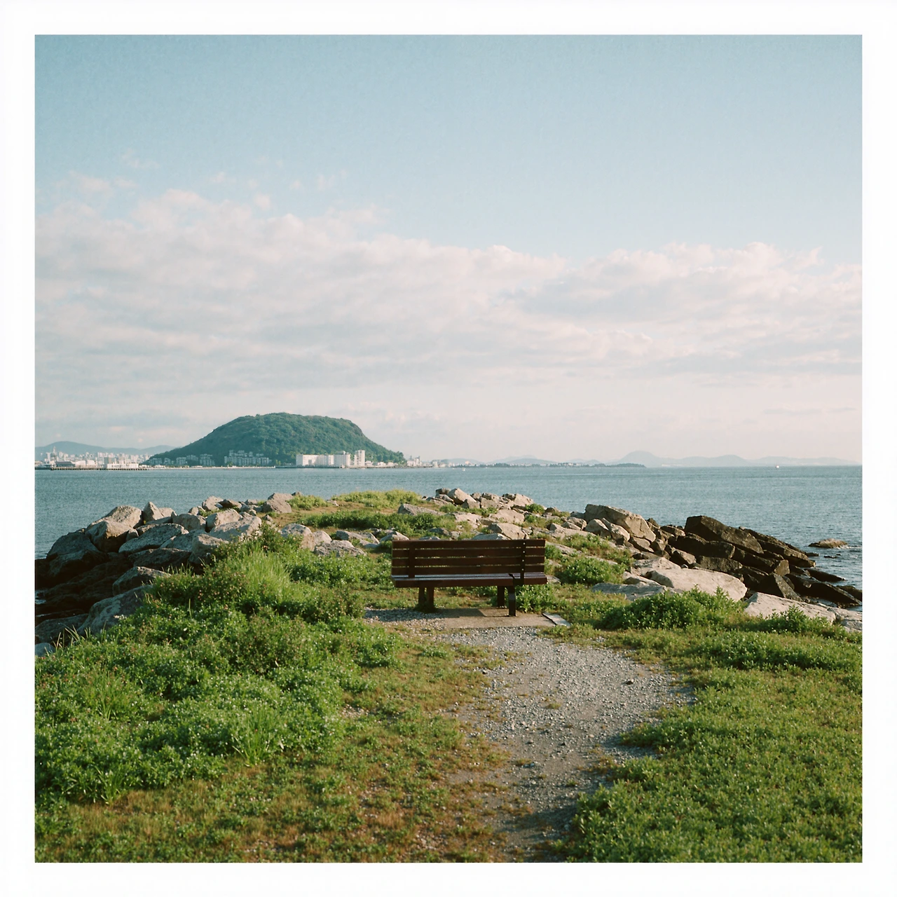 upscaled-image (15).jpeg