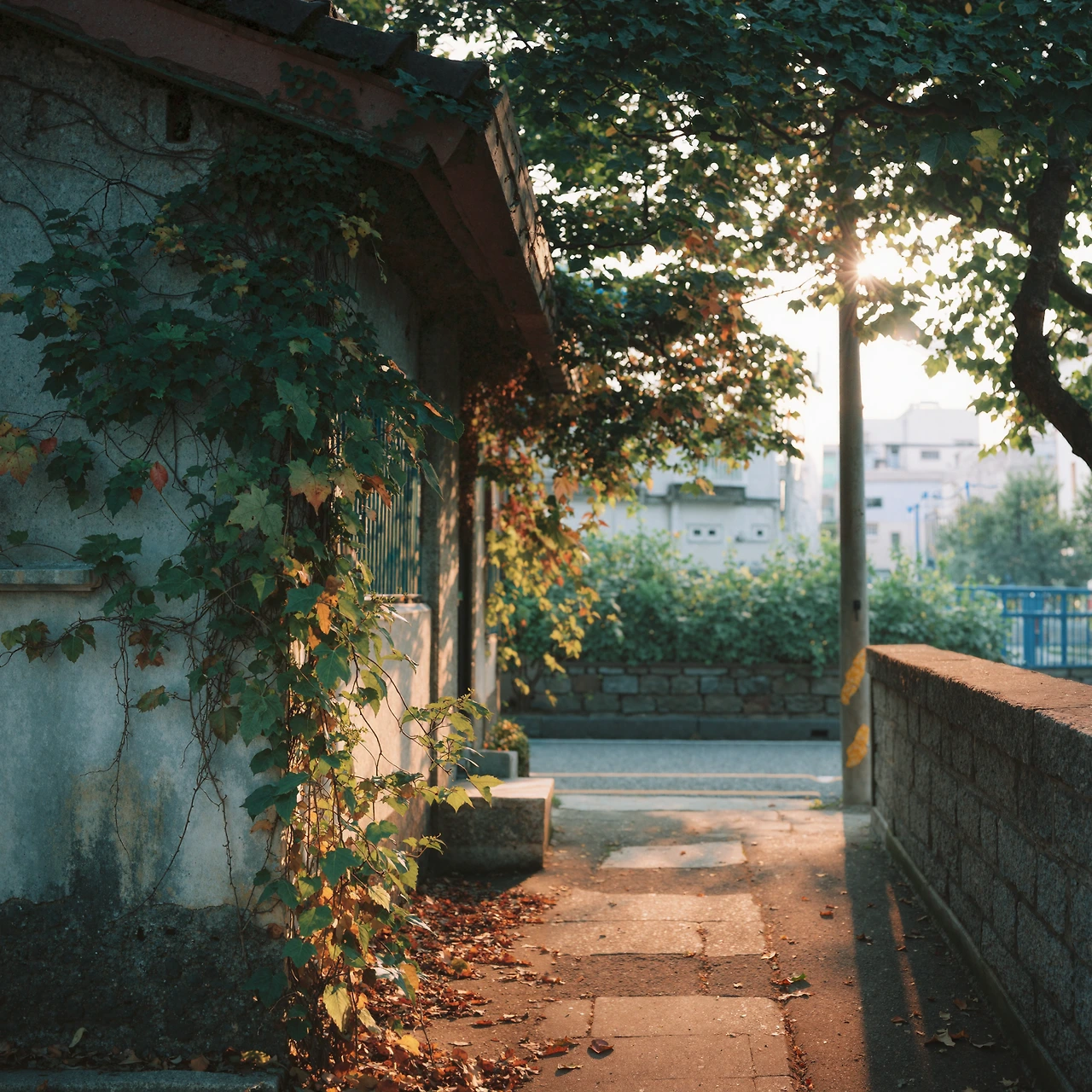 upscaled-image (16).jpeg